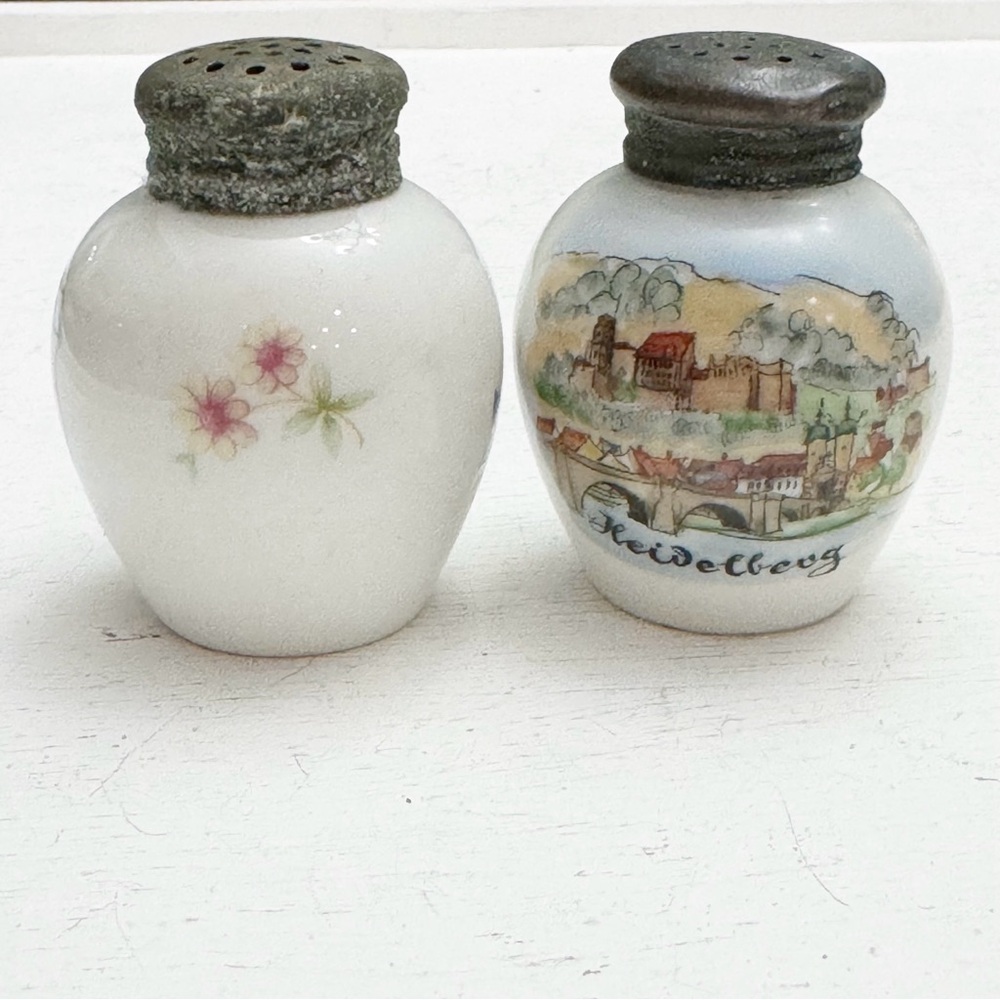Berlin Thomas of Germany 892 Vintage Salt & Pepper Shakers Hand Painted
